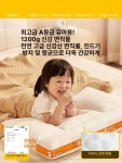 목 보호 성인용 메모리폼 베개 목베개 여행용베개 성인용베개 비행기목베개 편안한베개 단품 낮은 7cm : 다물스토어
