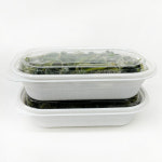 국내산 울릉도 삶은 부지깽이 나물 500g : 산마을농장