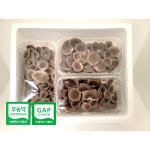 다원팜산지직송고기느타리 300g 3팩 : 메이빈마켓