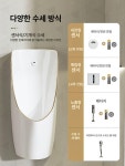 소변기 카페 대형 업소용 세라믹 공중화장실 8.D형 벽걸이 소변기손 누름 수조 지배수 : WorldBuy
