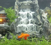 어항폭포 조경 인공 가짜 은신처 산호초 암석 수족관 흰색 백옥사 0.5kg : 눈바다