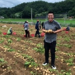 25년 햇감자 두백감자 3kg 맛보기 : 하루미르 농장