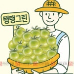 방울토마토종자 탱탱그린 그린토마토 (10립) ASA : 헤디유통