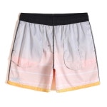 남성 스트라이프 비치 팬츠 여름 반바지 속건성 남자 수영복 트렌디 편안한 루즈핏 비치웨어 H1504 그라데이션 스트라이프 : 자네글로벌