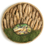 평창백덕산 더덕 1kg  강원도 평창 수분많고 아삭한 국내산 생산자 직배송 깐더덕판매 : 평창백덕산더덕