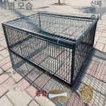 새 포획망 비둘기 그물망 퇴치기 야생 꿩 농작물 참덫 검은색 밀집 무천창 40x30x26 1면 수입 : 샤인인터내셔널