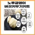 11월초 출고가능 노루궁뎅이 버섯키우기 6개묶음 : 계곡주반