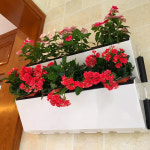 수직정원 화분 플랜트월 행잉화분 테라스 벽화분 벽면녹화 월 베란다 : 호호마켓25