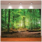 용수철 녹색 숲 사진 촬영 배경 캠핑 테마 샤워 스튜디오 소품 배너 포스터 1. 1 : 블루24호점