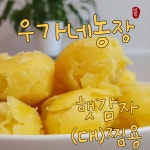 햇감자 수미 알감자 두백 분감자 7월 수확 국산 1kg 3kg 5kg 10kg : 우가네농장