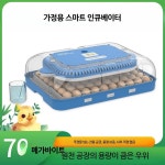 닭부화기 병아리 농장 메추리 달걀 알 오리 : 지유식스