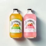 분다버그 2종(망고+핑크자몽) 과즙음료 375ml x 12ea : Beauty Takes A