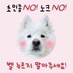 특대형 강아지문패 도어사인 벨누르지마세요자석 반려동물 짖어요 초인종 현관문 댕댕하우스 : 댕프링