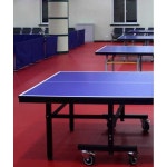탁구장 매트 PVC 크로스핏 고무 롤매트 충격 방지 원목 무늬 4.5mmx10 : 이지투딜