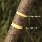아상 가위 원예 나무 박피기 포도 박피 아상가위 껍질 5mm : 오르벨