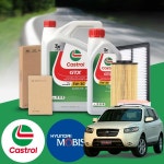 싼타페CM(09~12) 2.2(R엔진) 디젤 캐스트롤 GTX 5W30 엔진오일필터세트(모비스정품필터2종) 7L iter : 카이제