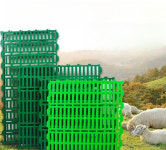 축사 플라스틱 깔판 소변 배변 바닥판 배변판 배변매트 이중 보강 두껍게 6060cm (무게 약 kg) : 버시몰