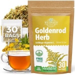 골든로드 티 허브 골든 루트 30개 (Solidago virgaurea L.) - 말린 골든 로드 허브 허브 티 45g : 선한shopping