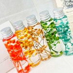 하바리움만들기세트 5인세트 원예수업유리병디퓨저공예활동 : YONG커머스