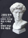 석고상 정육면체 세트 종 드로잉 박스 소묘 석고 마르세유 스케치 48 cm 소형 피아노 소녀 매장 고급 : 후다다닥후다다닥