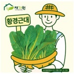 근대씨앗종자 황경근대, 황근대(250g) ASA : 헤디유통