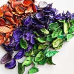 늘눠프 포푸리 80g 가정용방향제 집안방향제 : 늘눠프