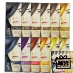 과일나라 후루츠왁스 헤어칼라 염색약 12종 선택형-O 똑템 : Snow Box