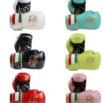 글러브 전문 복서 장갑 무에타이 선수용 시합 권투 성인 격투기 킥복싱 : 광해몰