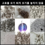 전기모기퇴치기 모기퇴치등 안전방망 지능 전집 자동 모기/광촉매/친환경 소재 : 오장트레이드 주식회사