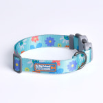 강아지 목줄+리드줄 세트 소형견 새끼 아기 애견 중형견 개목줄 민트, M : 비마이프렌드 공식몰