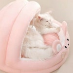 고양이 아이템 큐티펫 강아지방석 데일리 동굴하우스 반려동물 : 댕댕이패는냥이