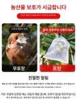 포도망 과일 보호망 복숭아 봉지 채소 메쉬 샤인머스켓 그물 참새 포장 : 글로벌픽 마켓