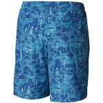 컬럼비아 남성용 스탠다드 빅 디퍼스 워터 반바지 Large : 모니카앨