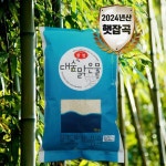 [대숲맑은물애] 24년 천년담양 찰진쌀 찹쌀 10kg : 씨유니마켓
