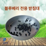 블루베리 분류체 수동 선별 스테인리스 크기별 등급 원형 구멍 농업용 : 헬로우제이제이