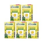 허브 캔디 레몬 민트 약국 목 졸음 무설탕 스위스 리콜라 40g x 5개 : 공룡배우