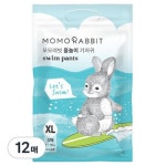 모모래빗 물놀이 팬티형 수영장 기저귀 아동공용 특대형XL 12매 : 생활양품연구소