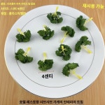 초밥 식물 식당 가짜 해산물 스시 장식꽃 음식점 이자카야 데코레이션 레스토랑 조화 : 프란시느