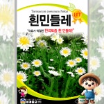 흰민들레 50 원예 관상 조경 화단 용 꽃 씨 씨앗 종자 세계종묘 : 남흥원예사