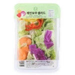 성진영농조합 레인보우샐러드_250G 팩 : 가성비 가심비 마오리트