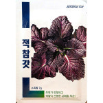 적참갓 7g 삼성 25년 김장채소 김장채소씨앗 쌈채소씨앗 : 제일농약사