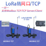Aimoxun plc lora 무선 통신 모듈 원격 데이터 전송 라디오 LoRa 네트워크 포트/TCP : 행운만물상사