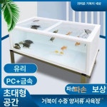 아크릴 거북이 어항 안깨지는 수조 사육장 수조 필터 추가 : 제이 GLOBAL
