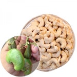 아침미소 캐슈넛 (생)1kg : 진솔건강주식회사