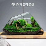 이끼 테라리움 케이스 투명 사육장 수반 생태계 대 : 엘씨이오