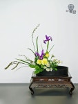 수반 화병 도자기 원형 꽃꽂이 세트 동양 화기 먹검정 직경20cm 단독 꽃기 : 사루엣