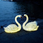 야외 백조 조명 아파트 공원 조형물 동물 잔디 정원 장식품 태양열 : 버미네직구