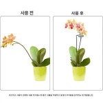 식물 고리 지지대 꽃 화초 덩굴 막대 거치대 토마토 녹색 45cm 3개 : 셀러쓰픽