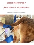 소 인공 수정 주입기 단일상품 사육 한우 축산기 소 배란기 측정기 1대 : 마루채움스토어