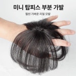 볼륨커버 인모 정수리 부분가발 원핀 1개 앞머리 자연검정 15cm : 글로바잉스토어2